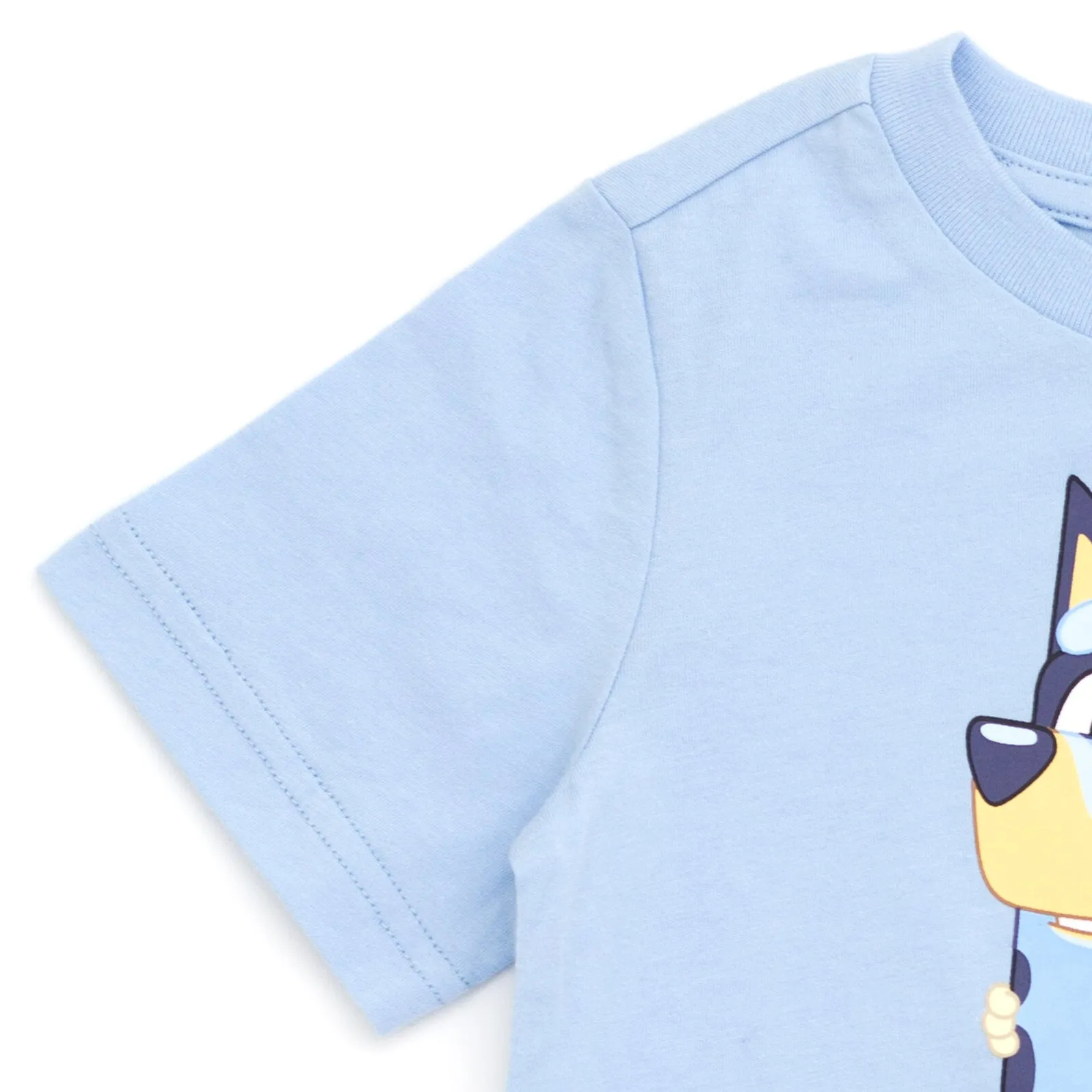 Bluey T-Shirt and Shorts Outfit Set