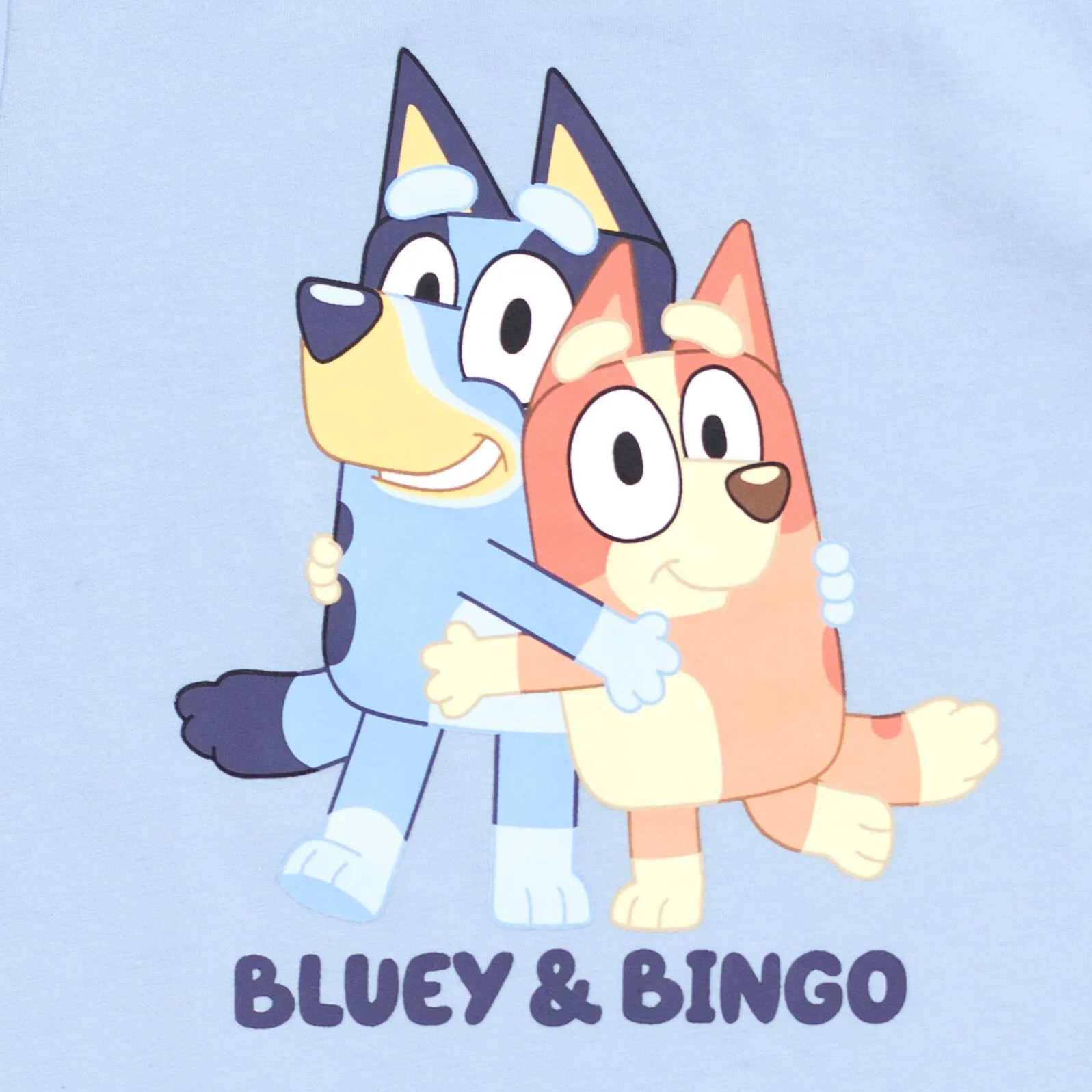 Bluey T-Shirt and Shorts Outfit Set